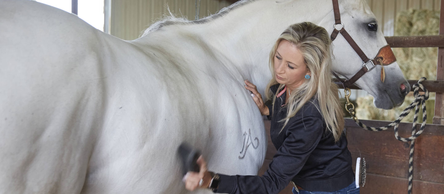 Shali Lord standing next to her horse brushing it.